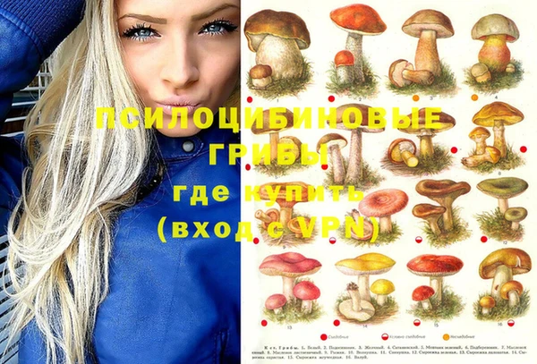 метамфетамин Алексеевка
