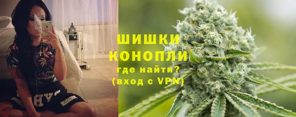 прущие грибы Аркадак