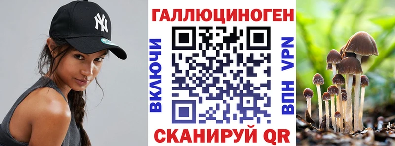 Псилоцибиновые грибы Cubensis  Могоча 